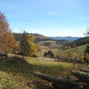 Fribourg-en-Brisgau 26/11/2009