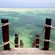 Zanzibar City 14/01/2015