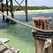 Zanzibar City 14/01/2015