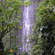 Basse-Terre 26/11/2009