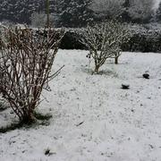 Bréal-sous-Vitré 18/01/2015