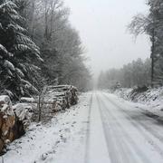 Saint-Nicolas-des-Bois 18/01/2015