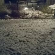 Senonches 19/01/2015