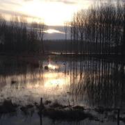 Saint-Jean-Saint-Germain 21/01/2015