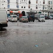 Alger 22/01/2015