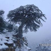 Oued El Ma 23/01/2015