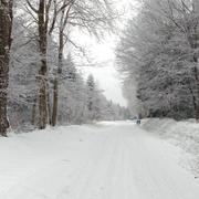 Laprade 23/01/2015