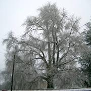 Montmarault 24/01/2015