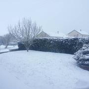 Château-Porcien 24/01/2015