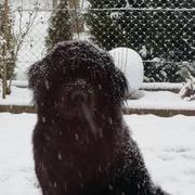 Waldbillig 24/01/2015