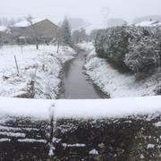 Neuville-sur-Ornain 24/01/2015