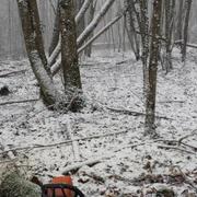 Montier-en-Der 24/01/2015