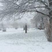 Aulnois-en-Perthois 24/01/2015