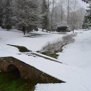 Source-Seine 24/01/2015