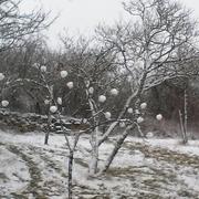 Crécey-sur-Tille 24/01/2015