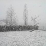 Chanteheux 25/01/2015