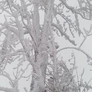 Pradelles-Cabardès 25/01/2015