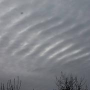 Triguères 27/01/2015