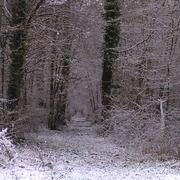 Perrigny-sur-l'Ognon 27/01/2015