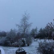 Courgains 30/01/2015