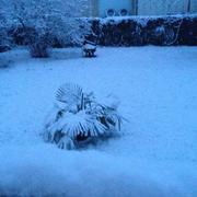 Saint-Germain-la-Ville 31/01/2015