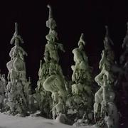 Rovaniemi 31/01/2015