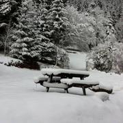 Bionville 31/01/2015