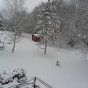 Provencheres-sur-Fave 01/02/2015