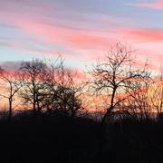 Trans-sur-Erdre 02/02/2015