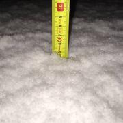 Plourin-lès-Morlaix 03/02/2015