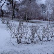 Uchacq-et-Parentis 03/02/2015