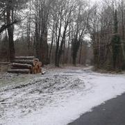 La Breille-les-Pins 03/02/2015