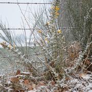 Lassay-les-Châteaux 03/02/2015