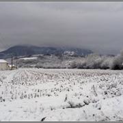 Lestelle-Bétharram 03/02/2015