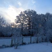 Saint-Pierre-de-Plesguen 03/02/2015