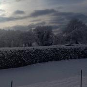 Plourin-lès-Morlaix 03/02/2015