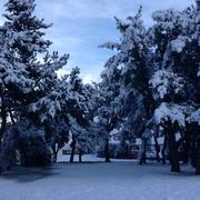 Plourin-lès-Morlaix 03/02/2015