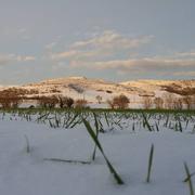 Cazalrenoux 03/02/2015