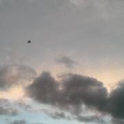 Saint-Maurice-des-Lions 03/02/2015