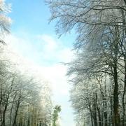 L'Hermitage-Lorge 03/02/2015