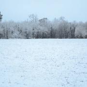 Rion-des-Landes 03/02/2015