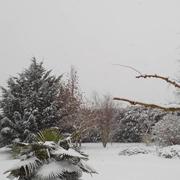 Réalmont 04/02/2015