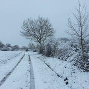 Péguilhan 06/02/2015