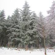 Millevaches 06/02/2015