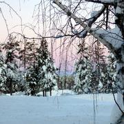 Rovaniemi 07/02/2015