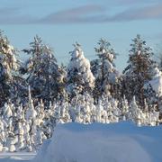 Rovaniemi 07/02/2015