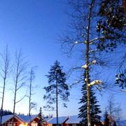 Rovaniemi 07/02/2015