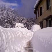 Cormaranche-en-Bugey 08/02/2015