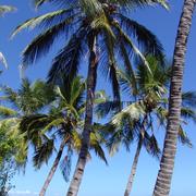 Hell-Ville 04/12/2009