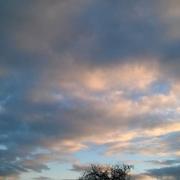 Mailly-le-Château 15/02/2015